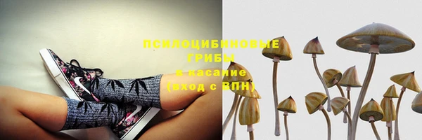 гидропоника Баксан