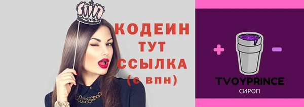 PSILOCYBIN Балахна