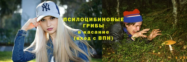 PSILOCYBIN Балахна