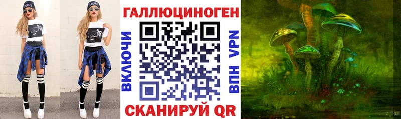 Галлюциногенные грибы прущие грибы  Пестово 